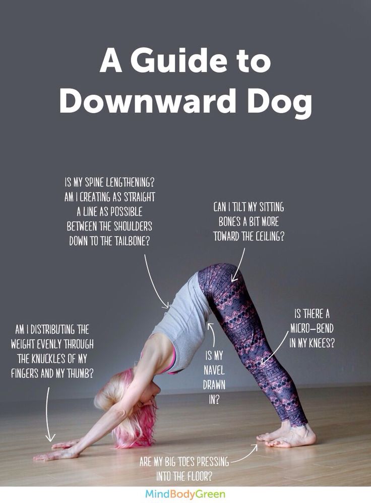 what muscles does downward dog work